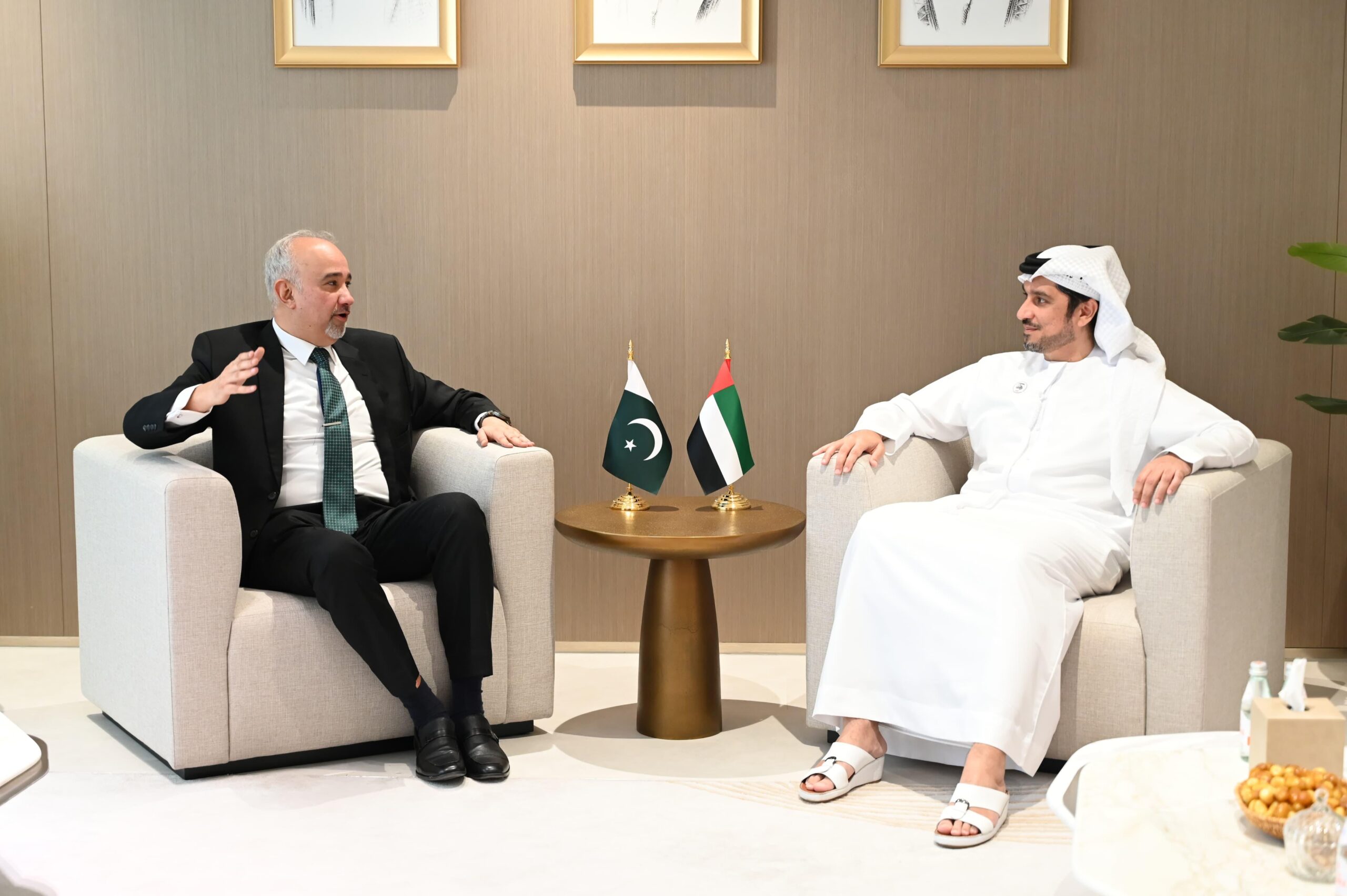 سفیر پاکستان کی سیکرٹری جنرل میڈیا کونسل سے ملاقات